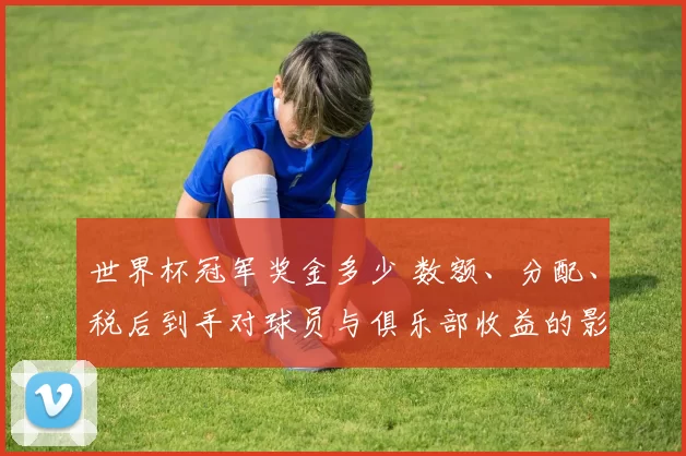 世界杯冠军奖金多少 数额、分配、税后到手对球员与俱乐部收益的影响解读