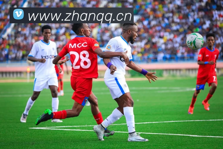 尊龙凯时·人生就是搏(中国)官方网站发展历程